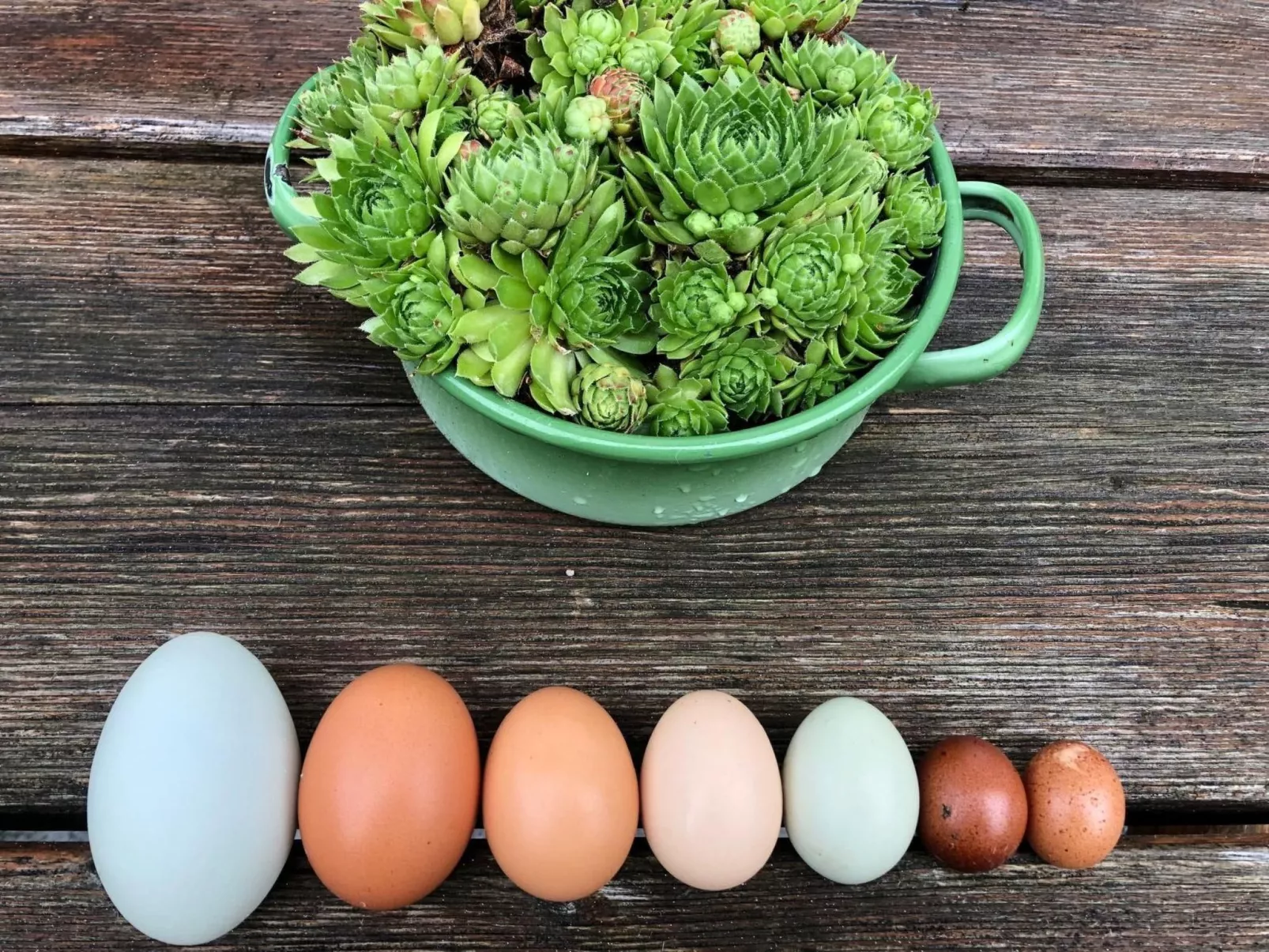 Wandlhof Ferienwohng-Binnen