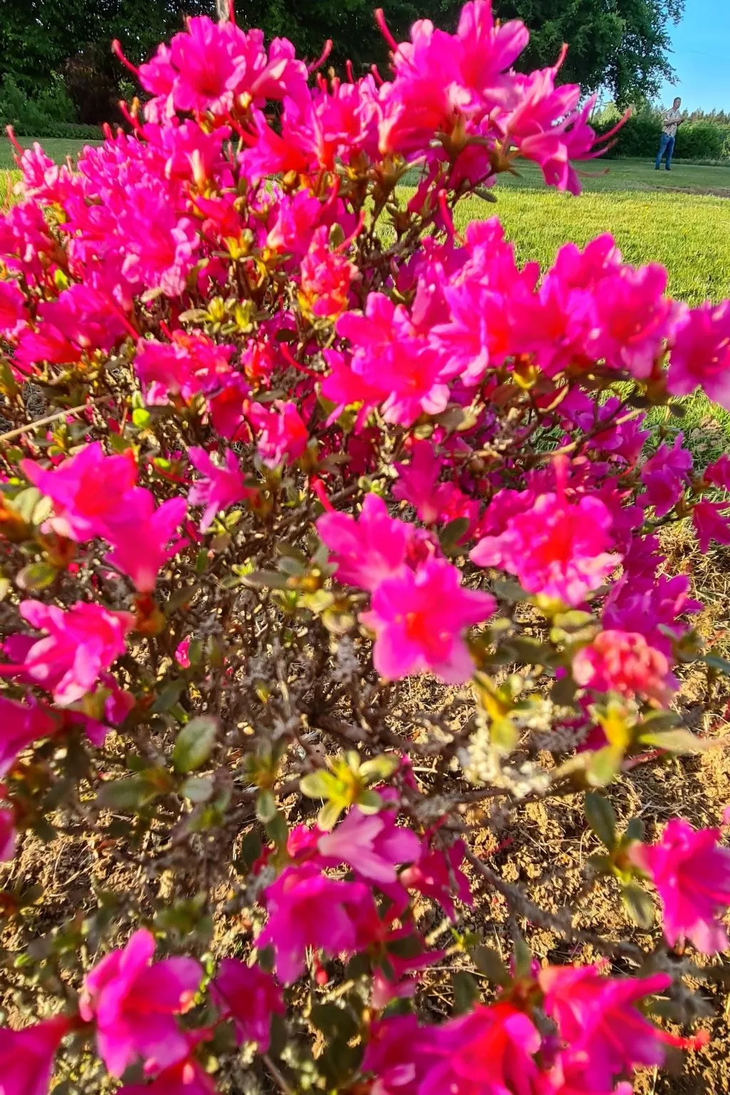 Antre Parenthèse de Sainte-Cécile-Buiten