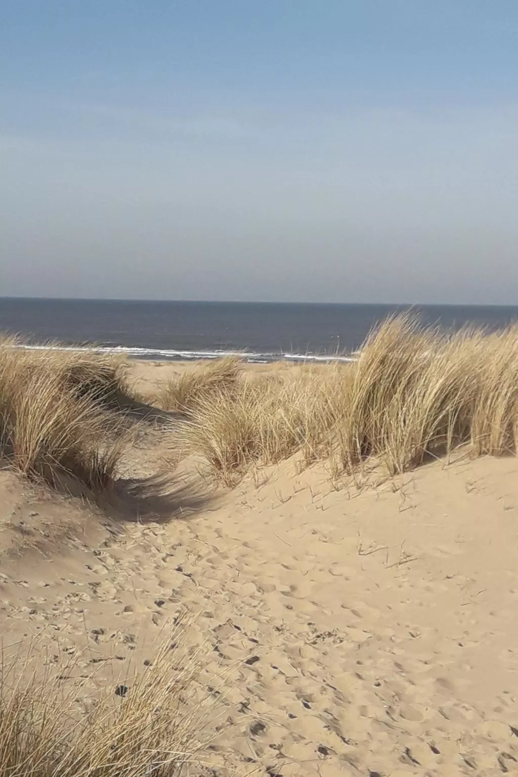 Hilda-Image-tags.info