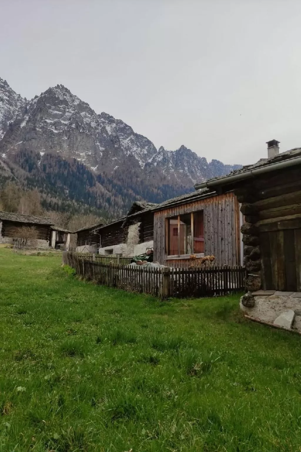 In Borgonovo-Image-tags.info