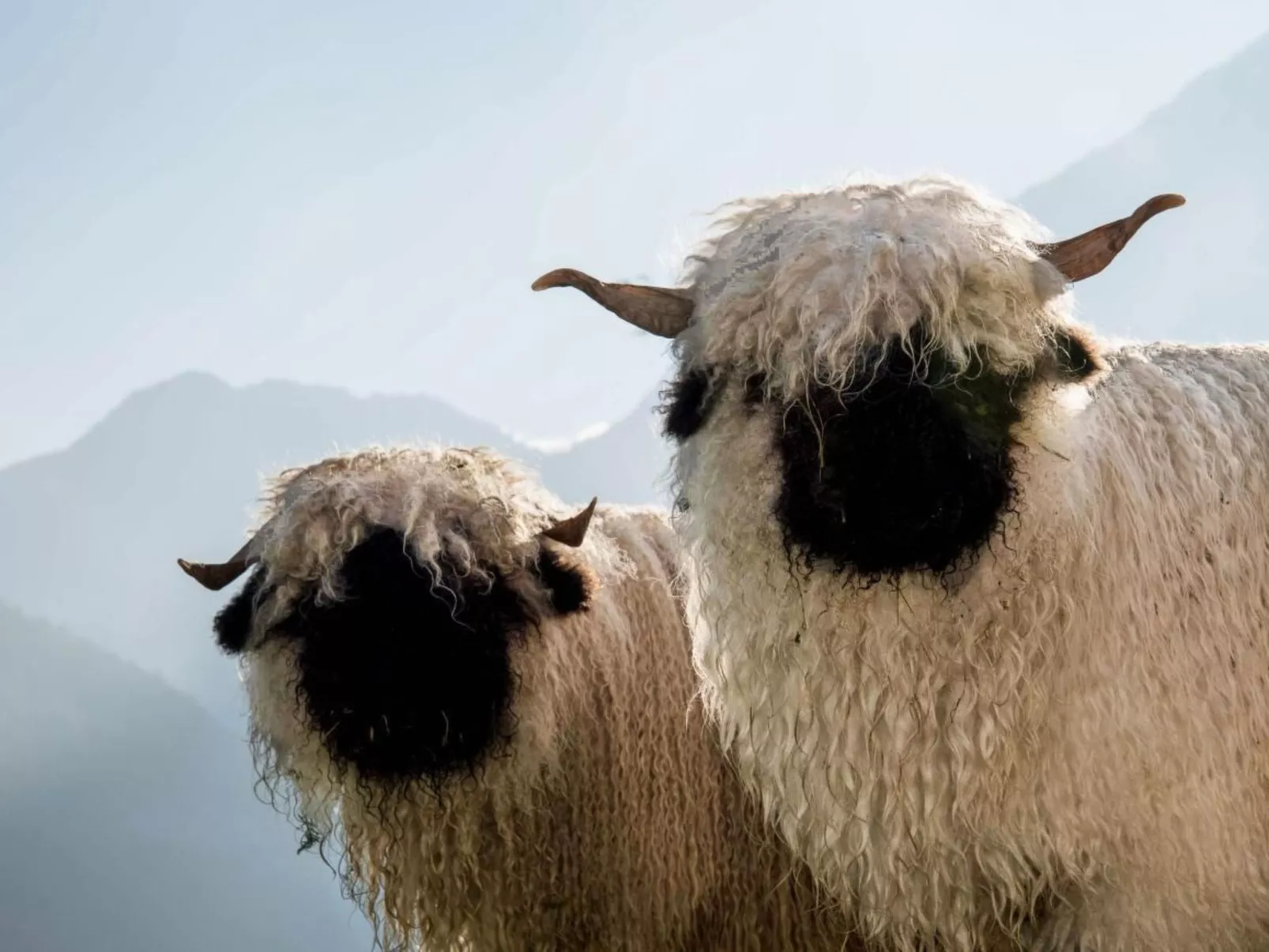 Wollhaus Oberzwirgi-Buiten