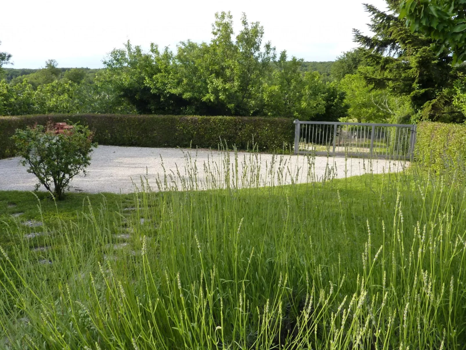 Freistehender Bungalow Perla mit Garten und Grill-Buiten