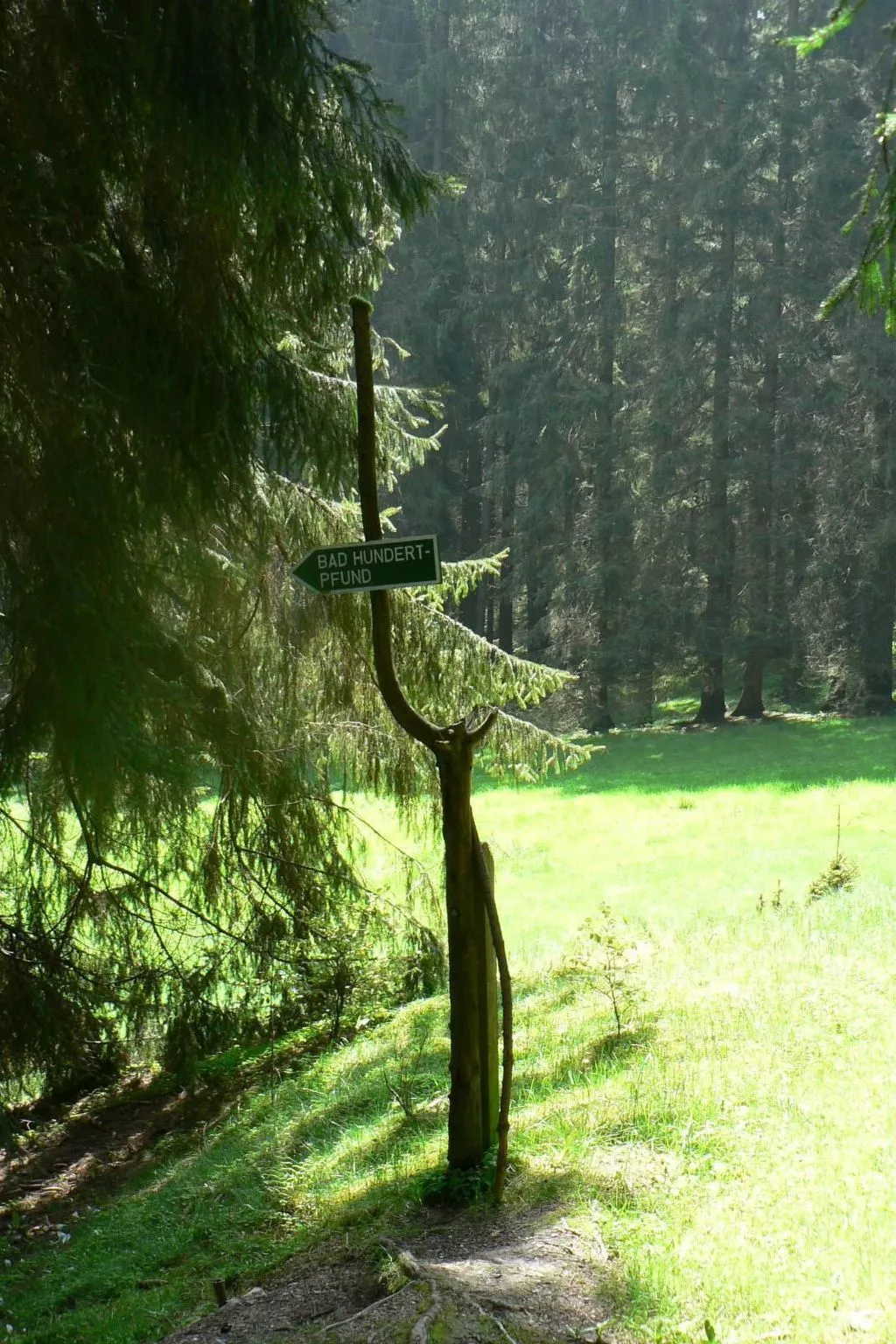Für 6 Personen im Thüringer Wald-Buiten