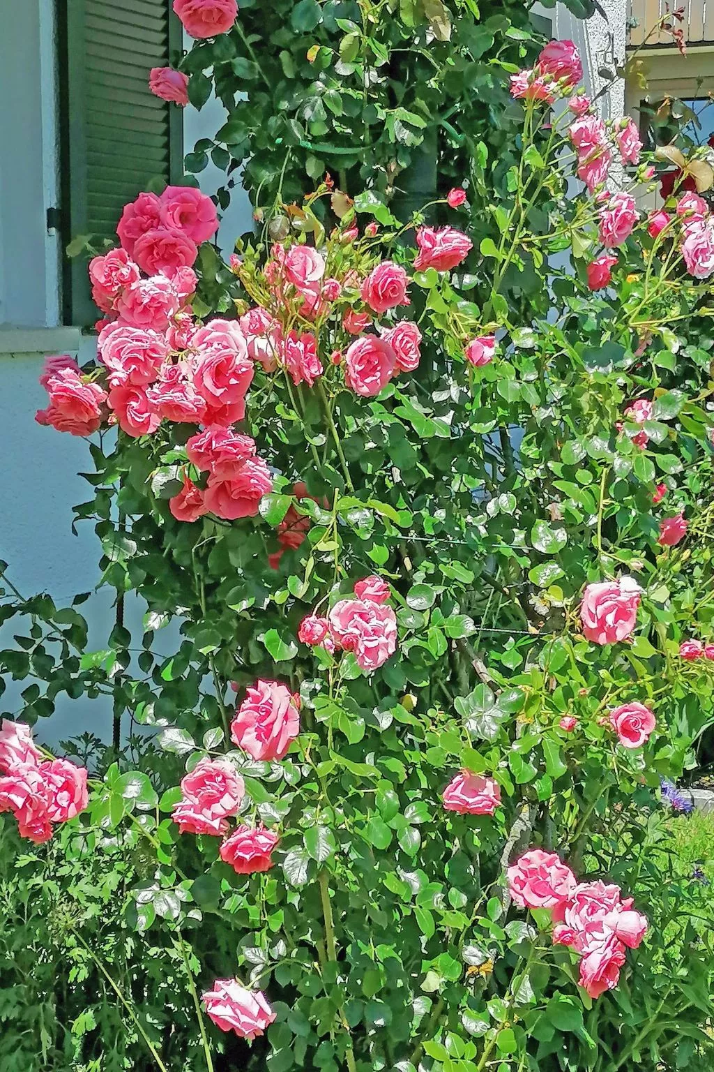 Ferien-Apartment-Image-tags.info