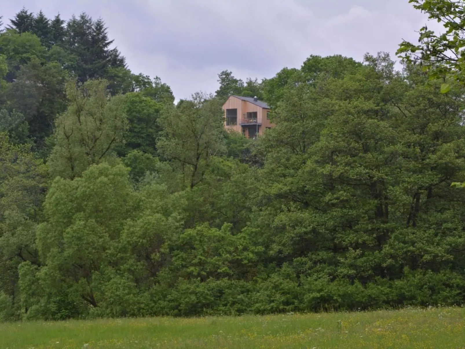 Moderner Holzhausneubau in der Eifel-Buiten
