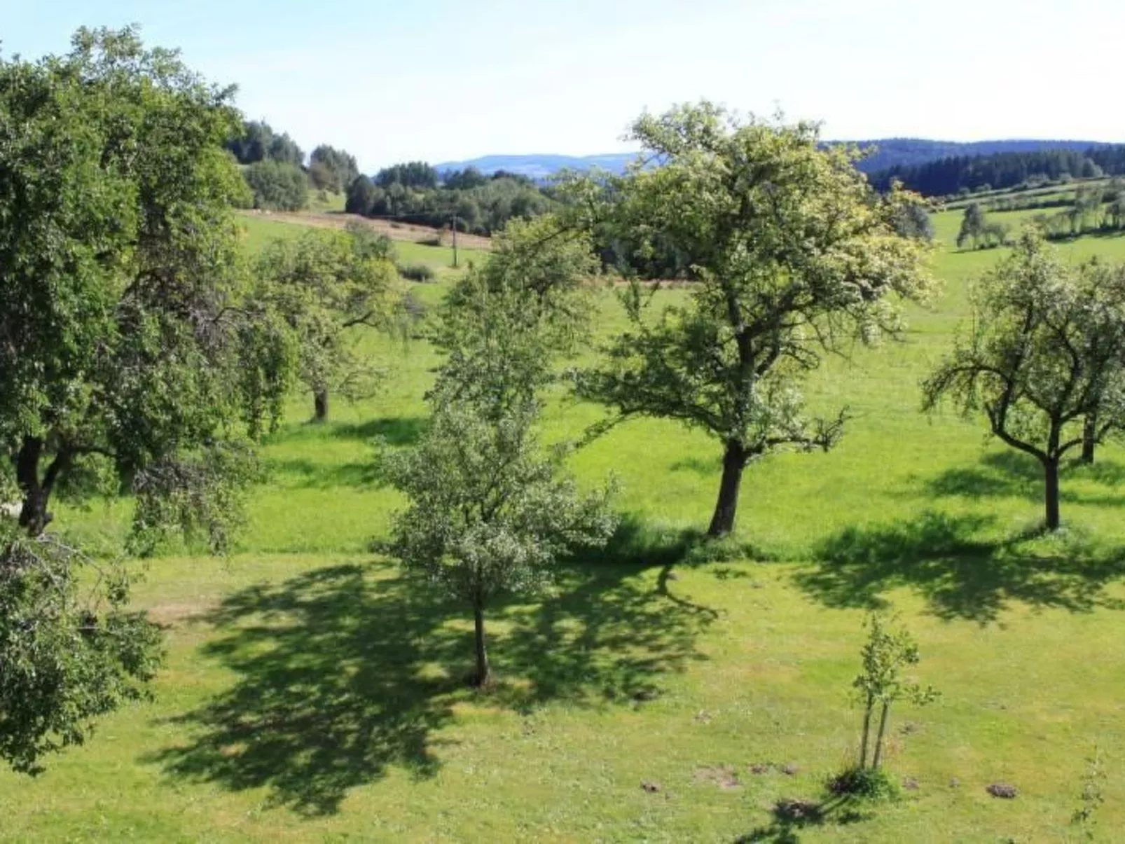 Wildfeuer-Image-tags.info