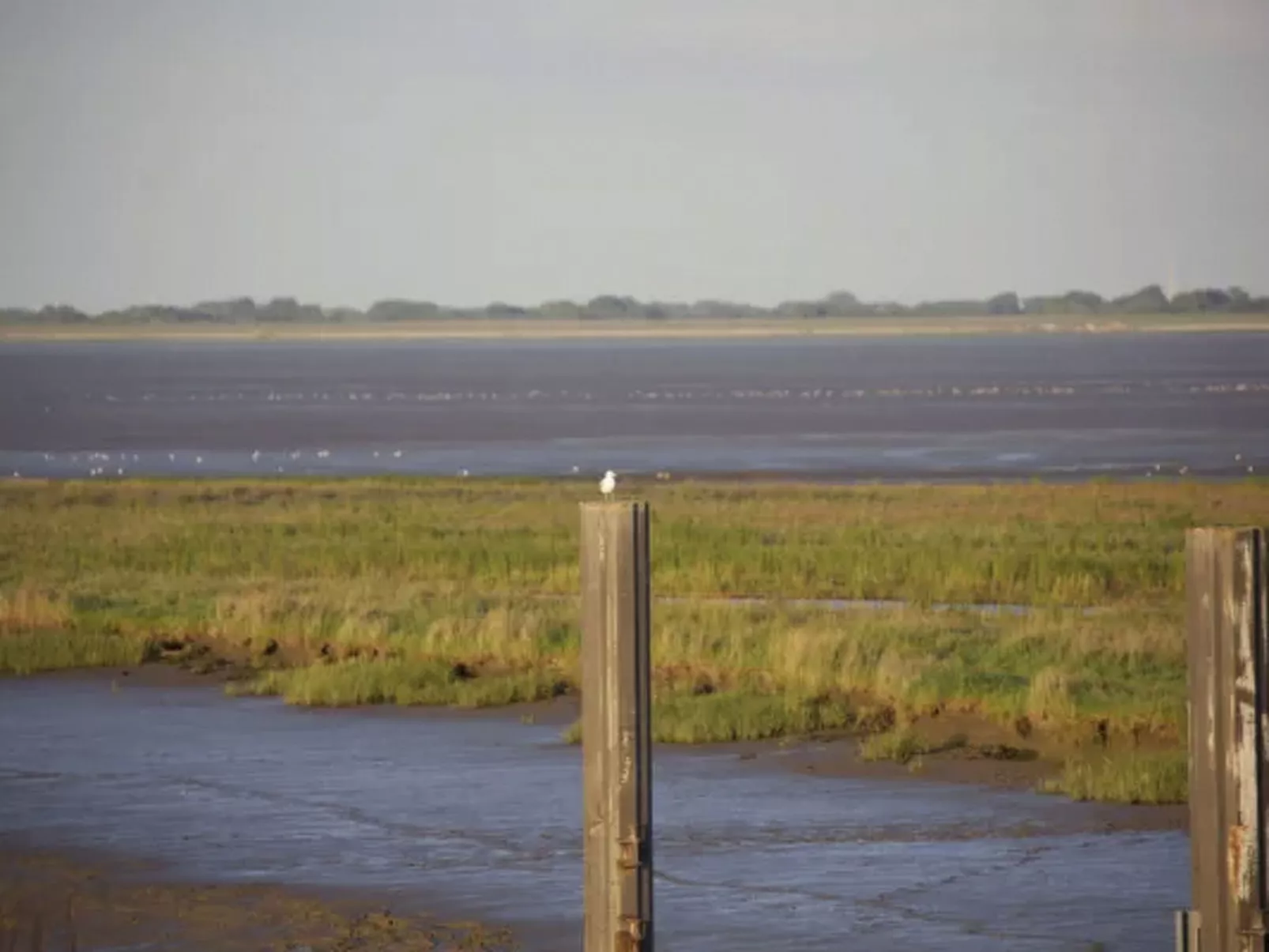 Traumhaftes Reetdachhaus an der Nordsee - Image-tags.info