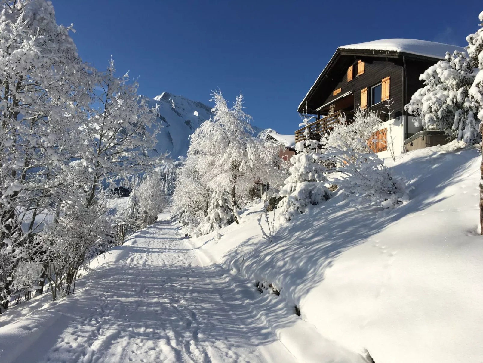Chalet Hörler-Buiten