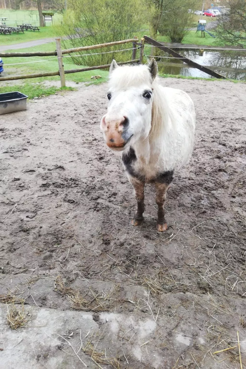 Mit Terrasse - Buiten