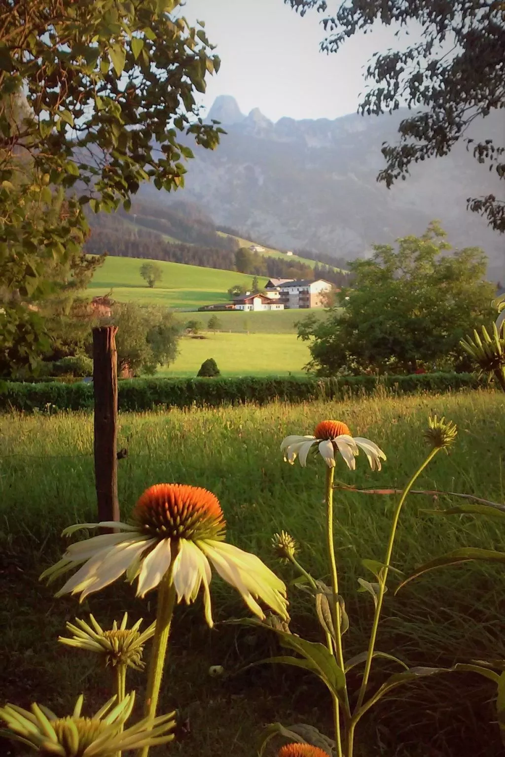 Herbst in Abtenau-Buiten