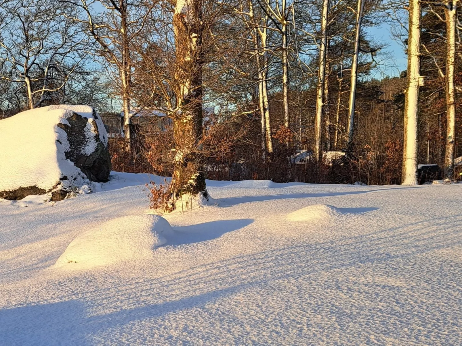 Schwedisches Glück, zwischen Wäldern und einem See-Buiten