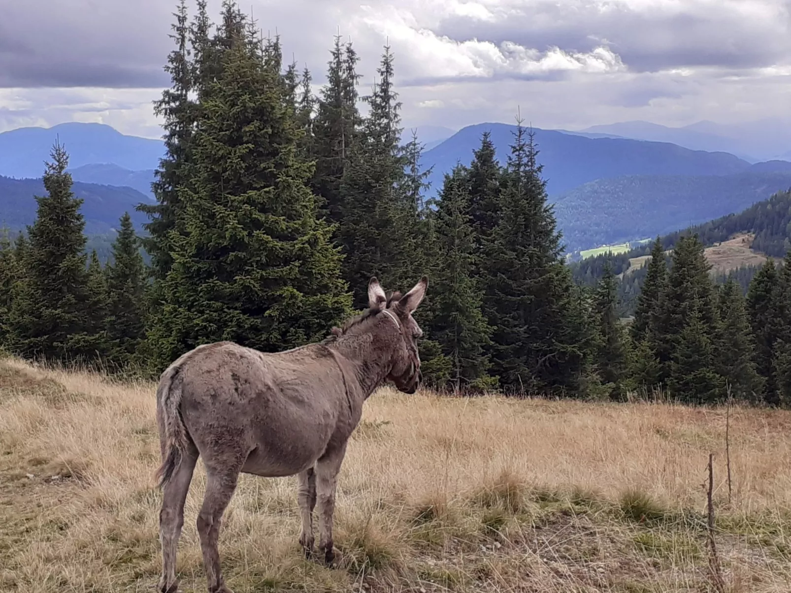Lachtalhütte-Buiten