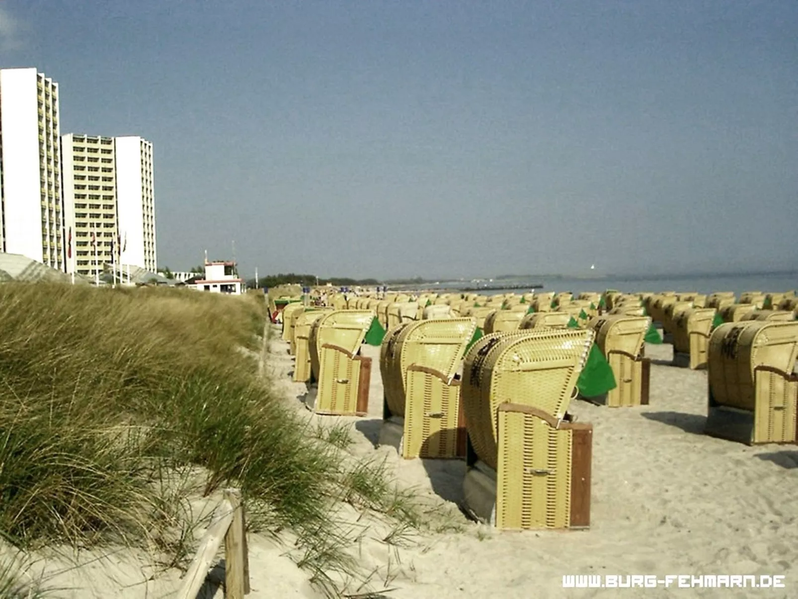 Zwergmöwe in Neue Tiefe-Binnen
