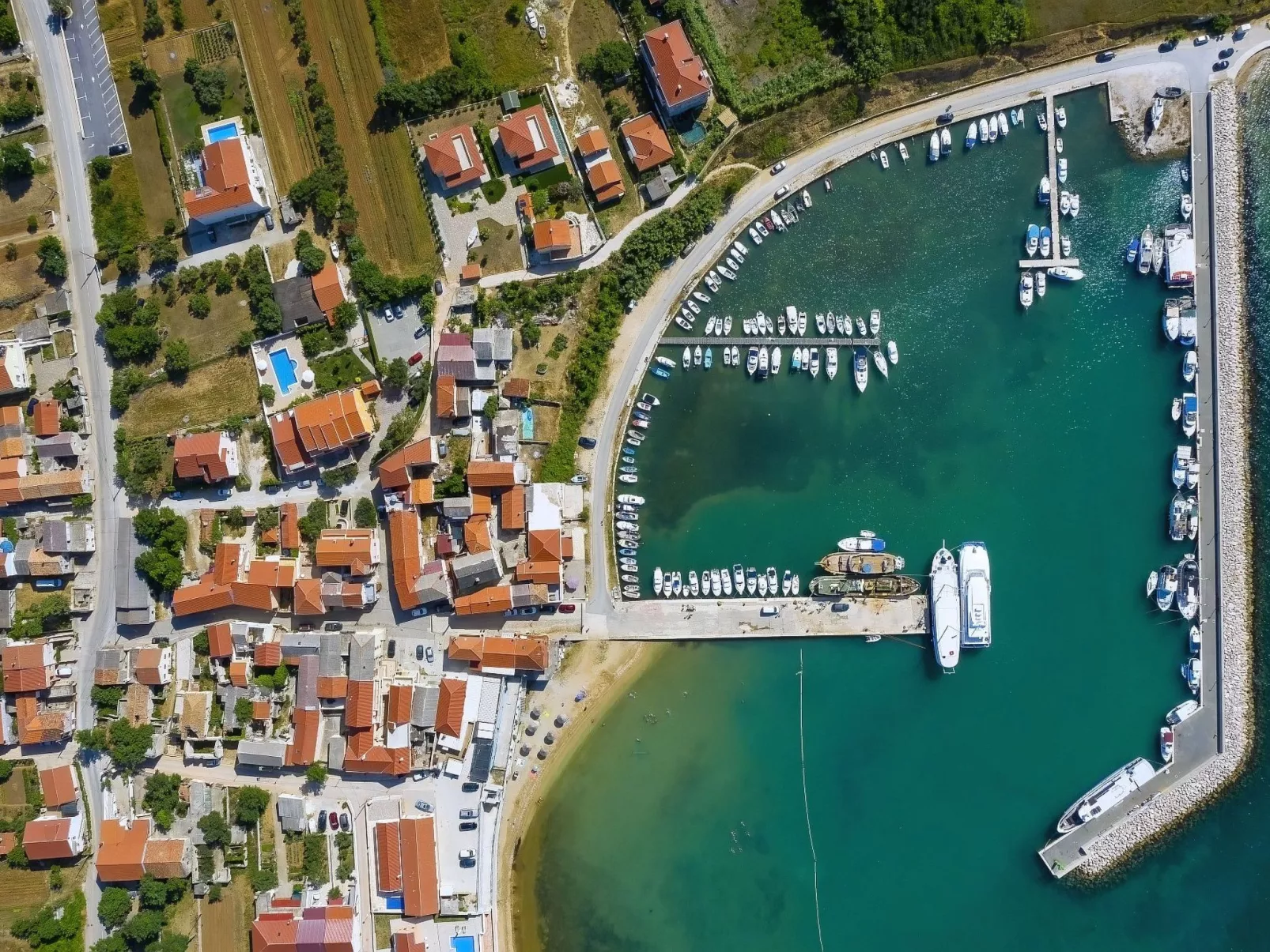 Delfin mit Meerblick - Agentur TA Leut-Buiten