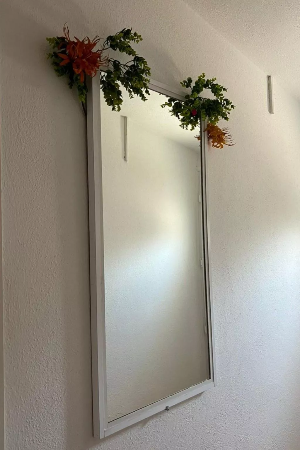 Wohnung Violett-Binnen