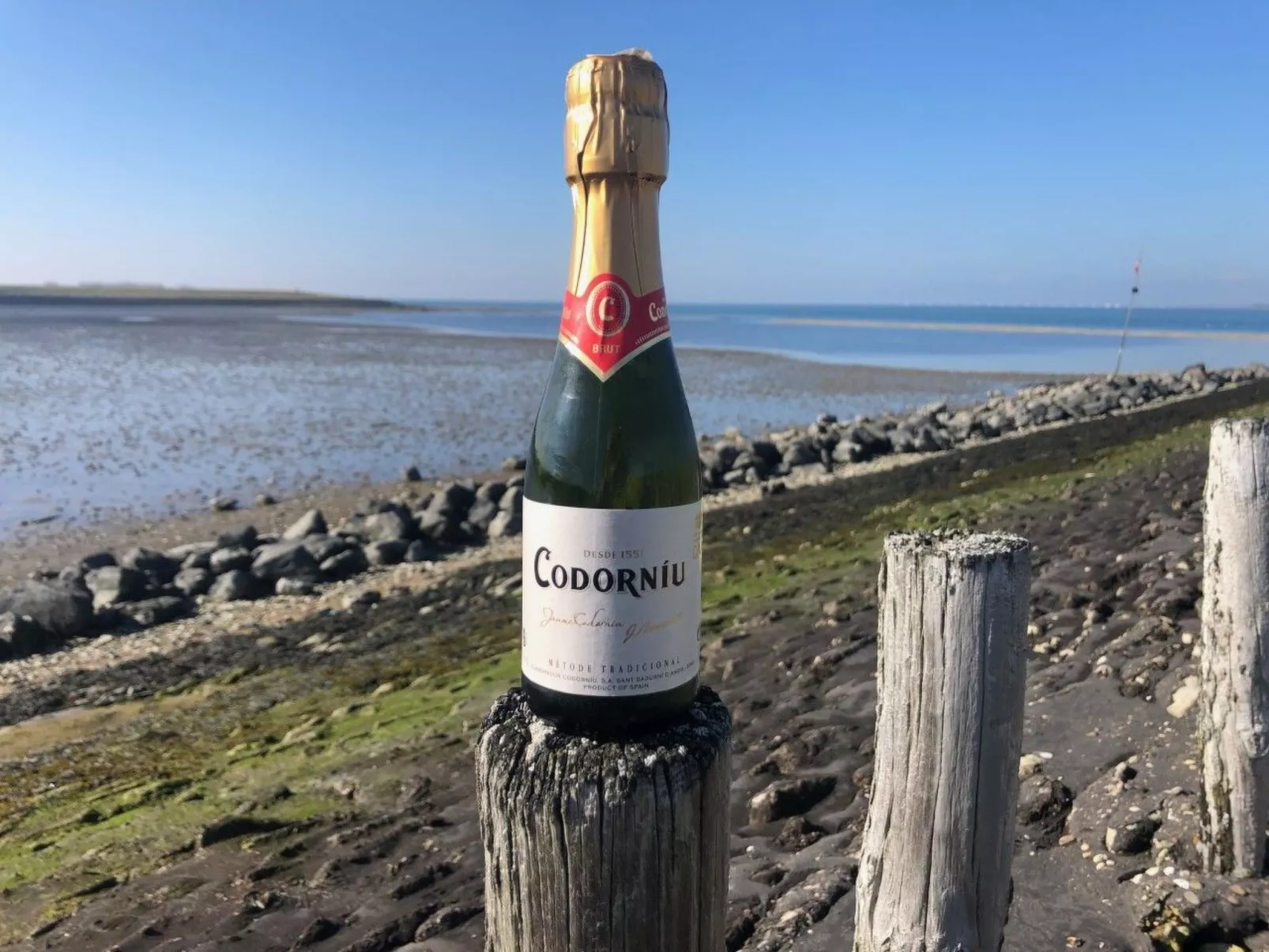 Reefhouse 47, wo es noch Platz für Ruhe gibt-Image-tags.info