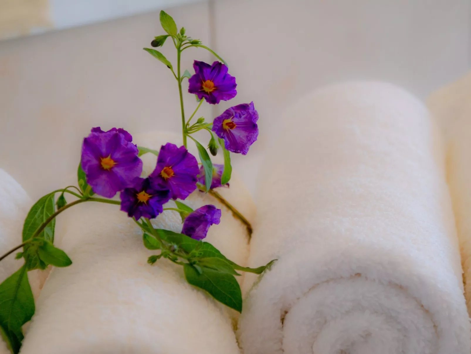 Mit Terrasse und Grill-Image-tags.info