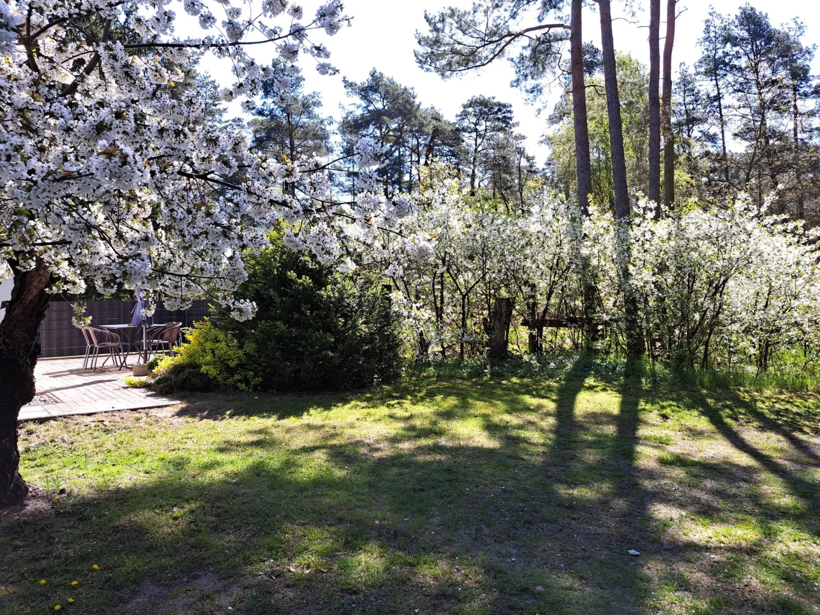 Mit Terrasse mitten im Grünen-Buiten