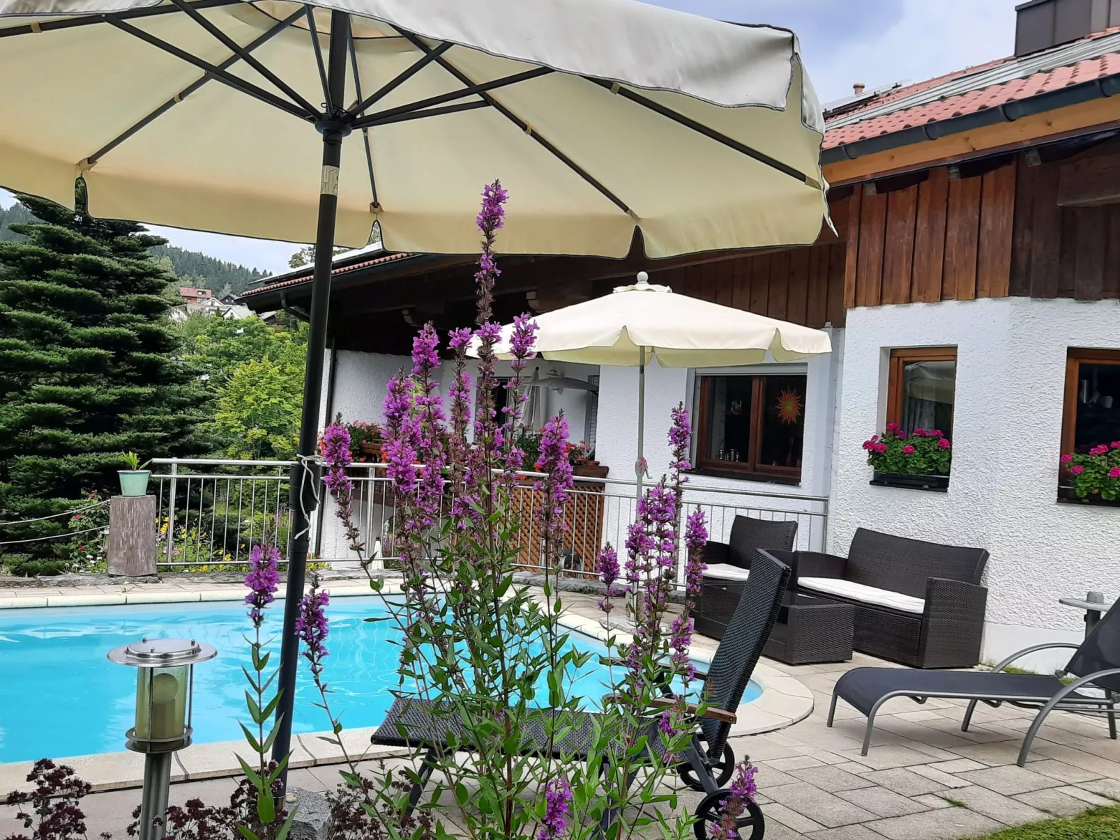 Wiesengrund in Bayerisch Eisenstein-Image-tags.info