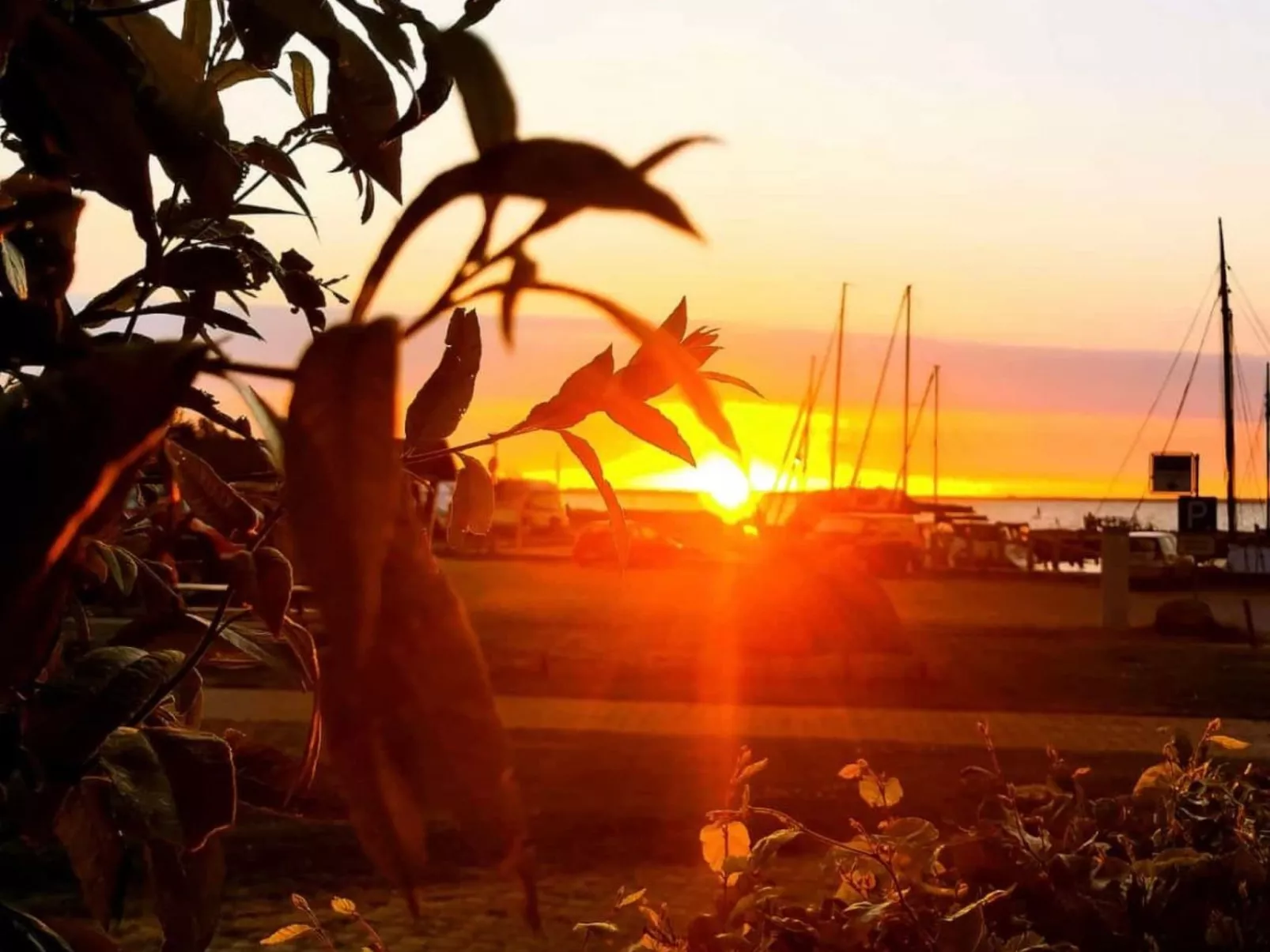 Haus Saaler Bodden-Buiten