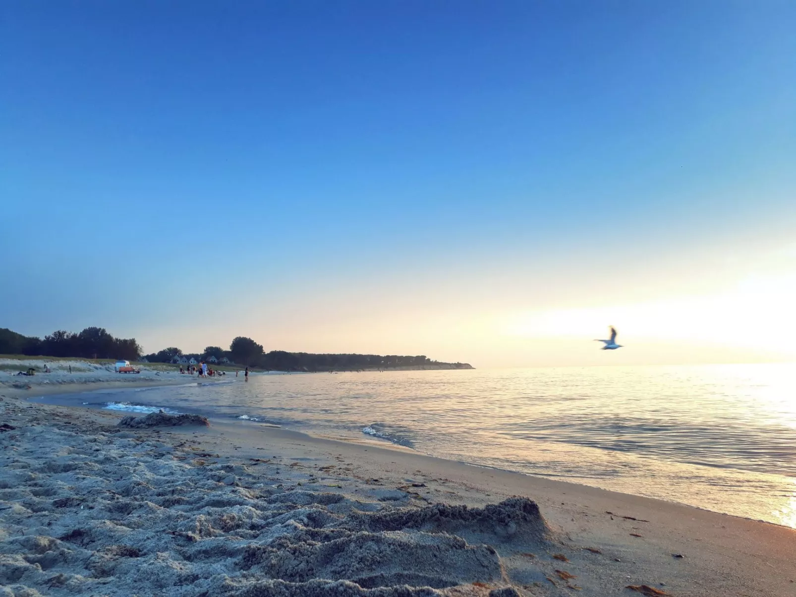 "Sonneneck"-Image-tags.info