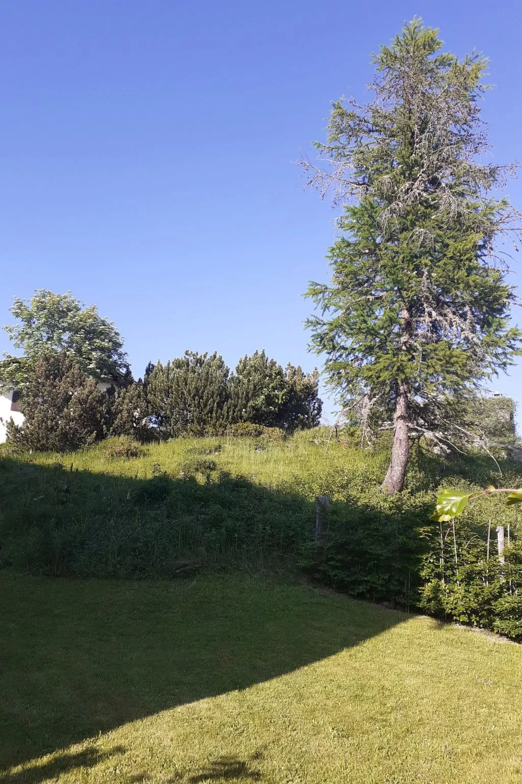 Wohnung Oberengadin - Maloja - Ca Val Forno-Buiten
