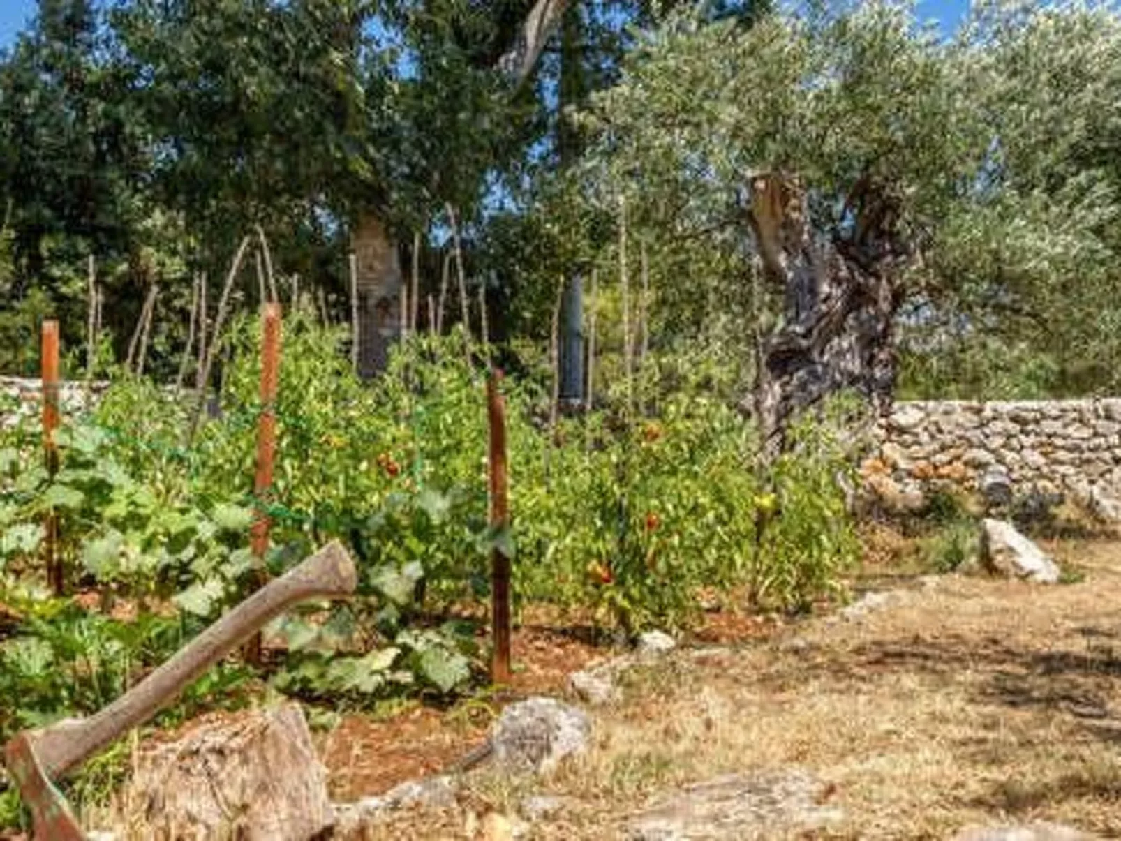 Hütte mit Garten, Grill und Terrasse-Binnen