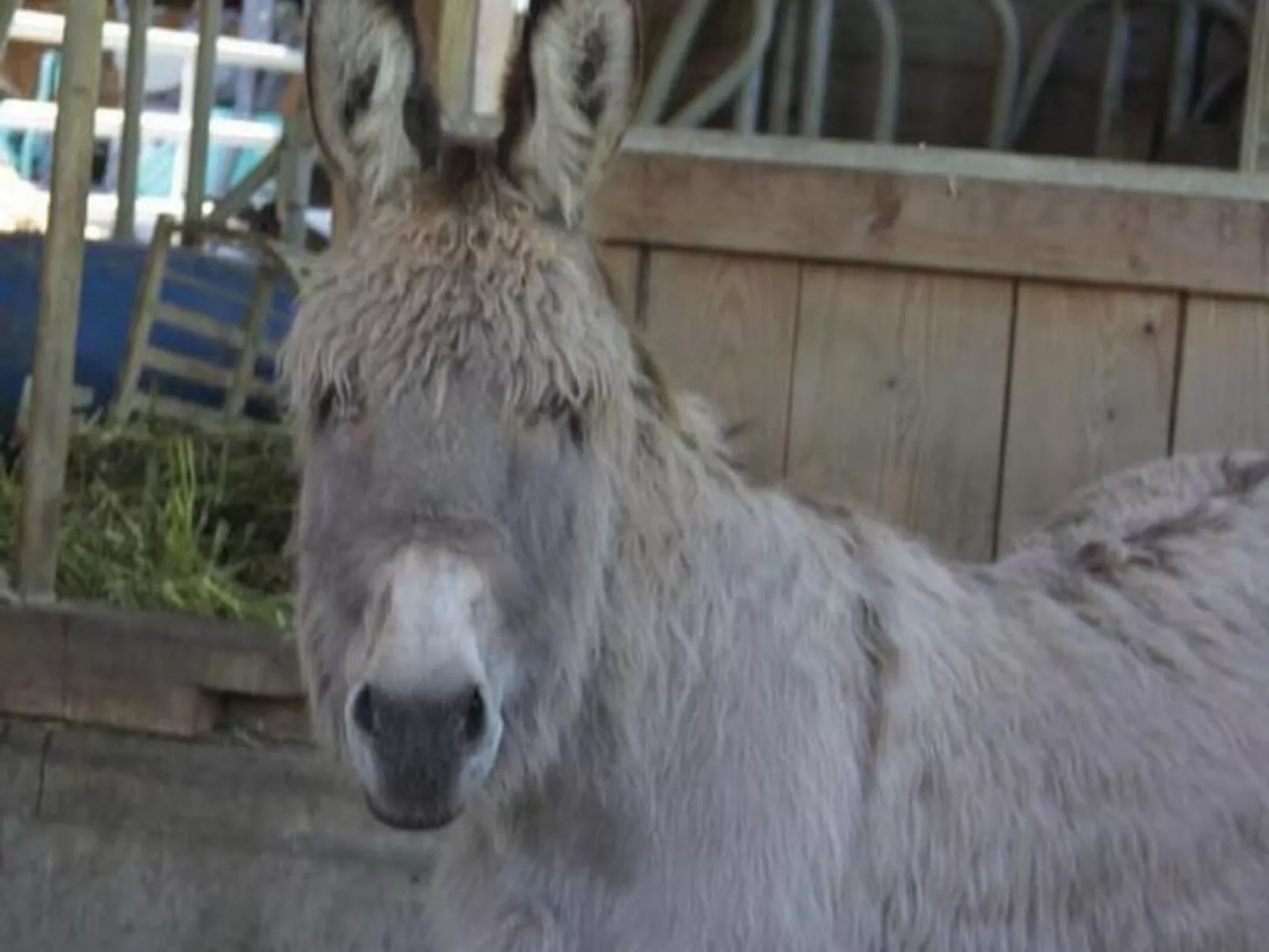 Rosentürmli - Image-tags.info