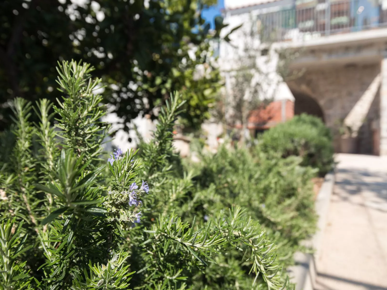 Mit Garten, Grill und Terrasse-Buiten