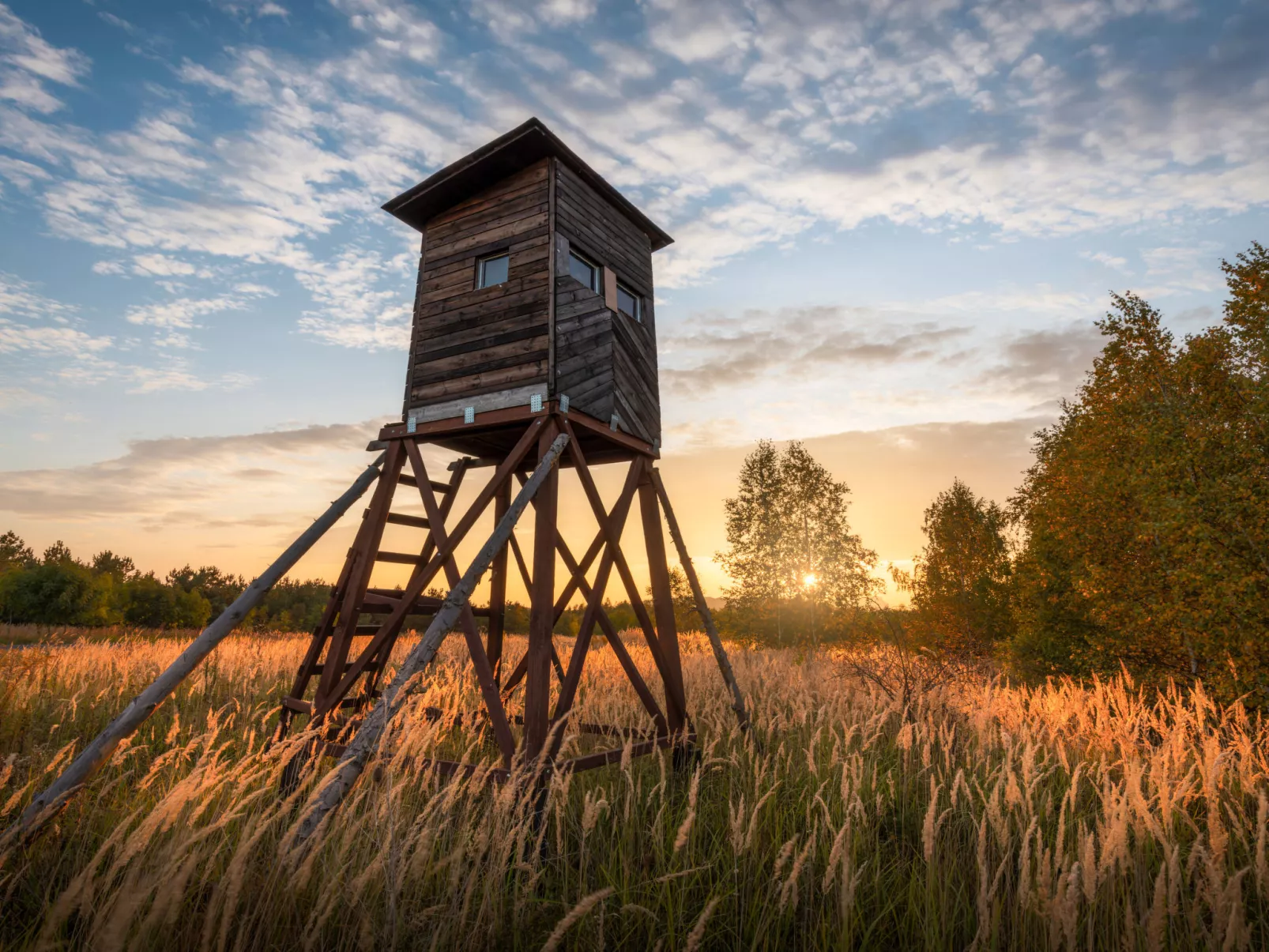 Istrien Traditionelles Steinhaus 7-Omgeving