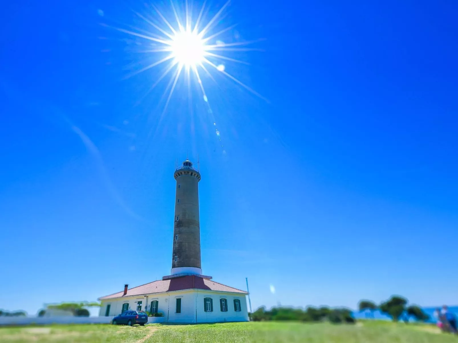 "Sakarun" mit Blick auf das Wasser-Image-tags.info