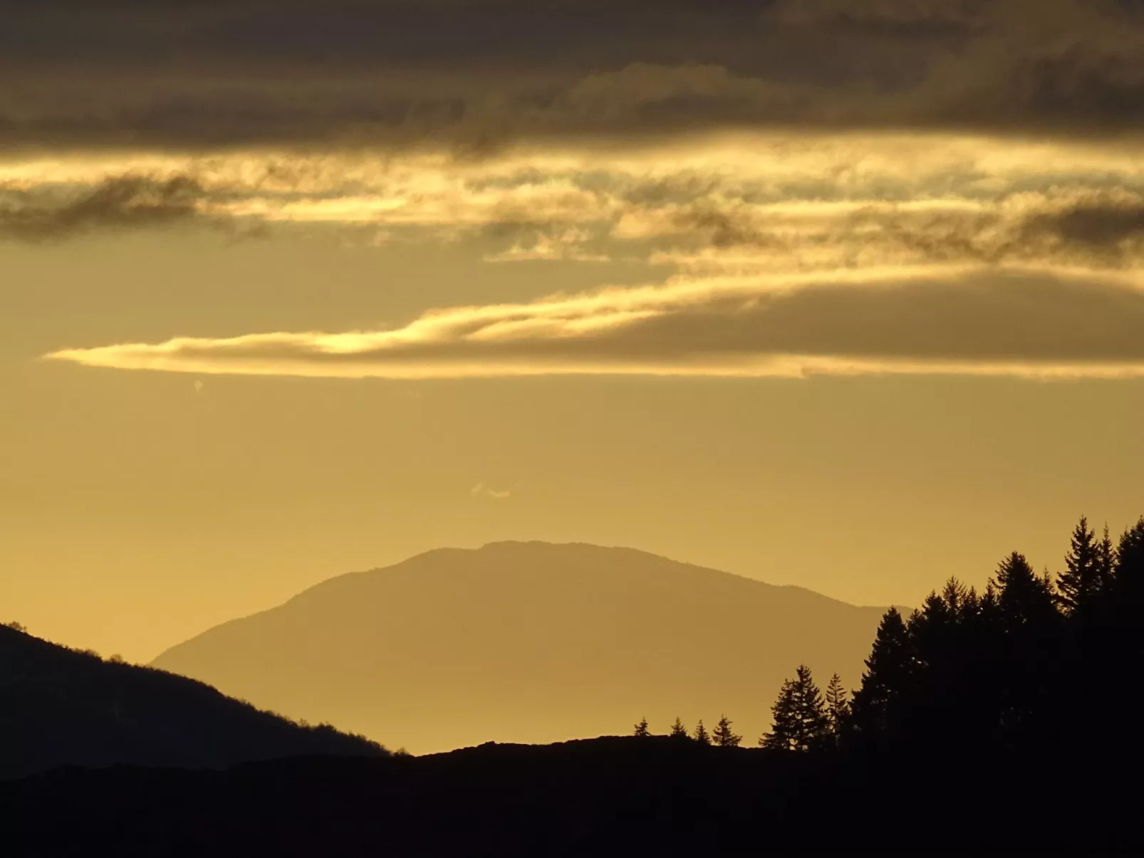 Gîte de Chapelèche Les Genêts-Buiten