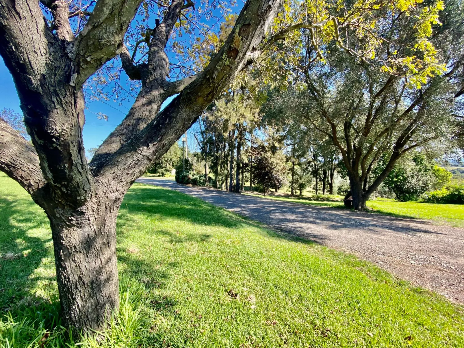 Weingut Punta della Guardia Panorama von Macchia und Meer-Buiten