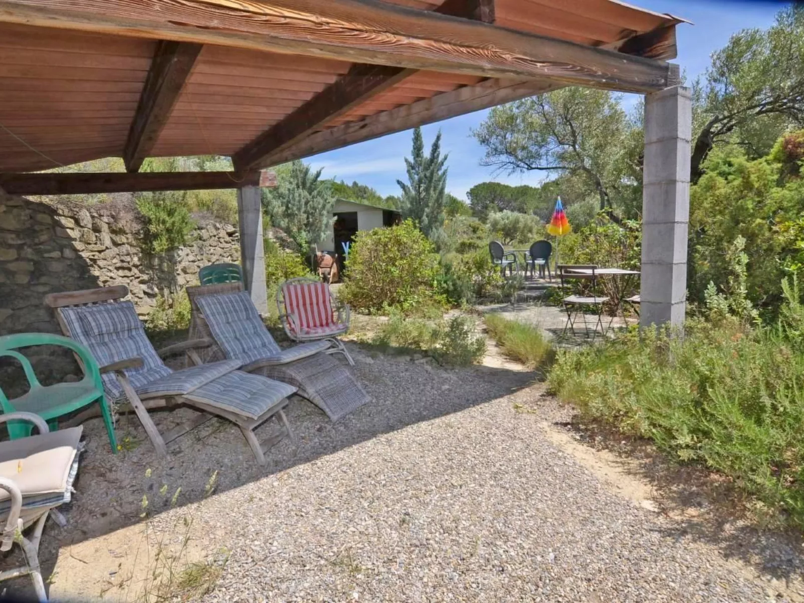 Die kleine Zikade-Buiten