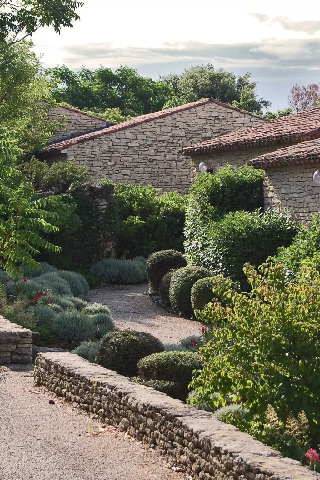 Cypres du Paradis-Buiten