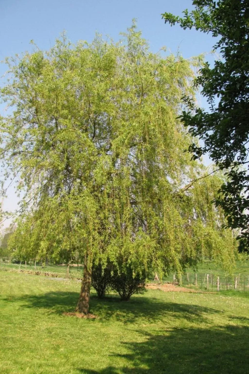 La Bergerie du Festel-Image-tags.info