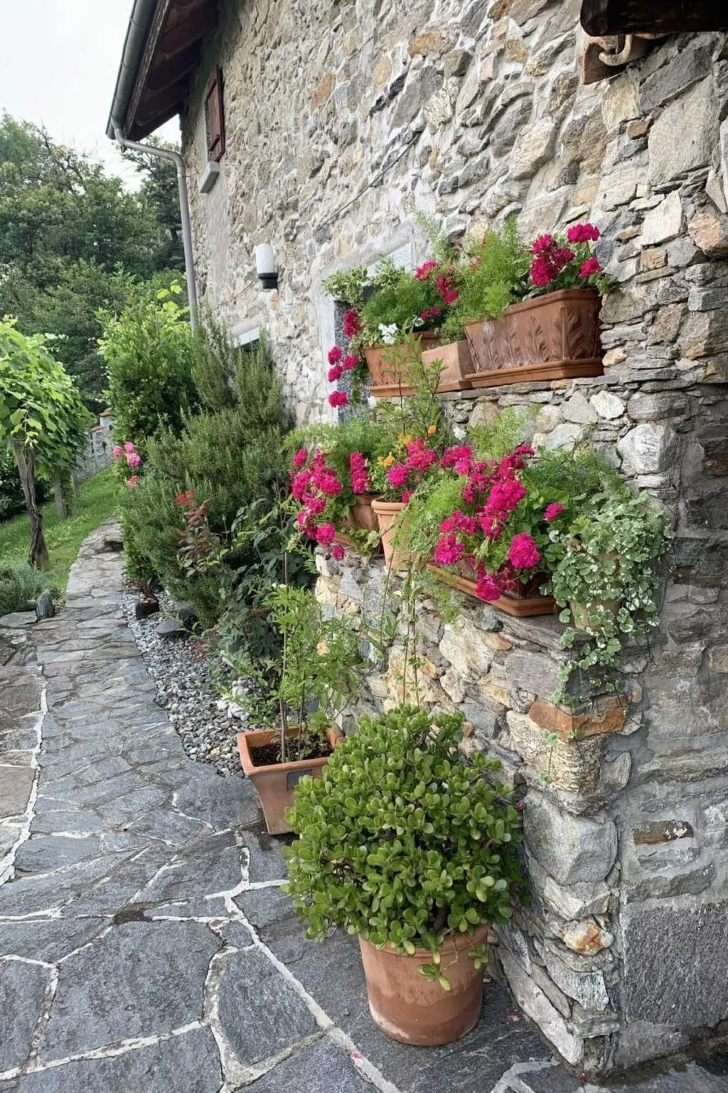 Rustico Motto della Capra