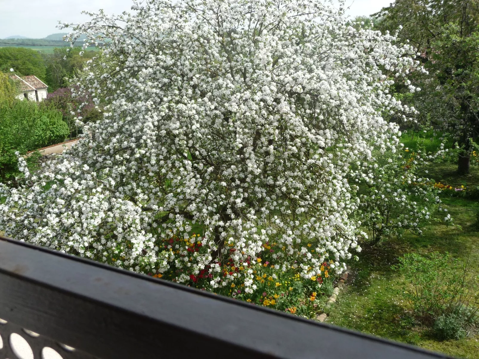 Domaine "Chez Marianne" mit Privatparkplatz-Buiten