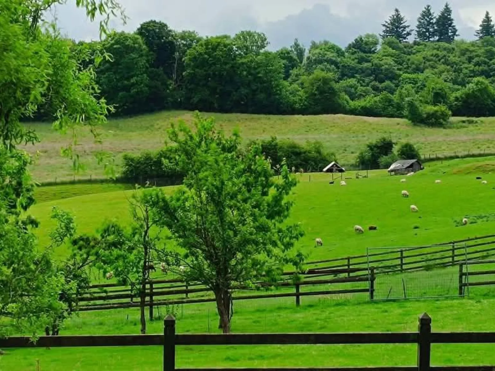 Tiny House Sundancer-Buiten
