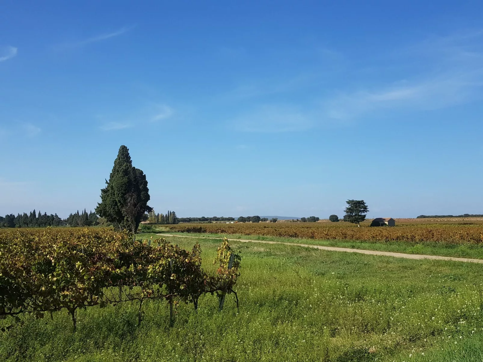 Charmantes Bauernhaus in der Provence-Buiten