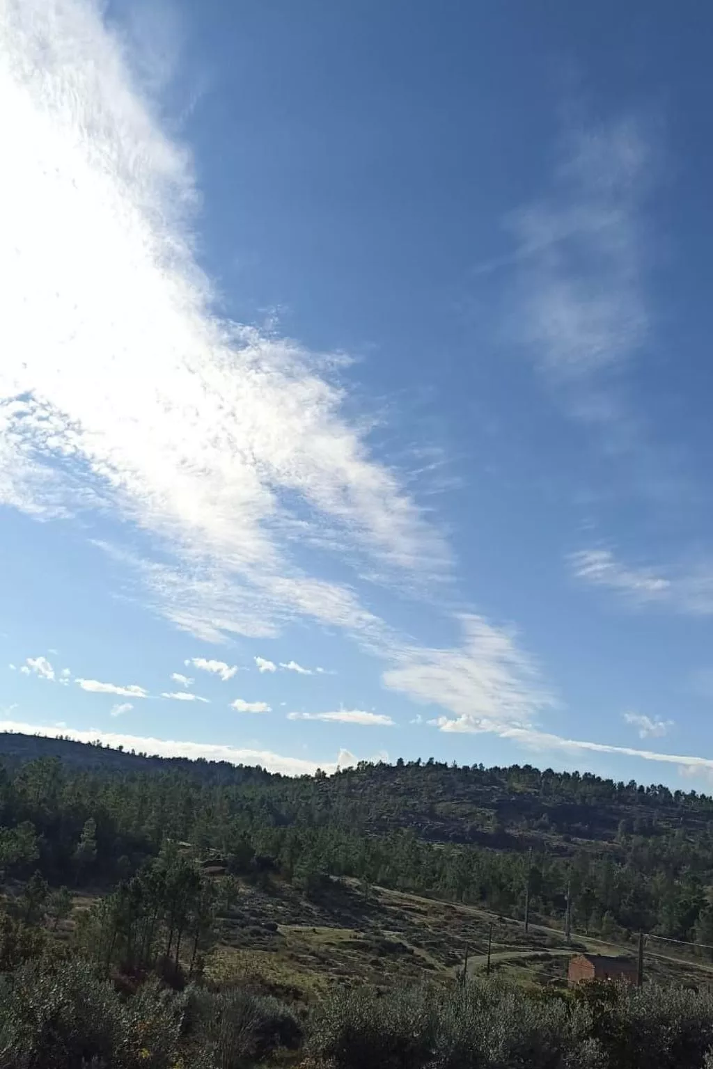 Ferien auf dem Bauernhof mit Weinberg-Buiten