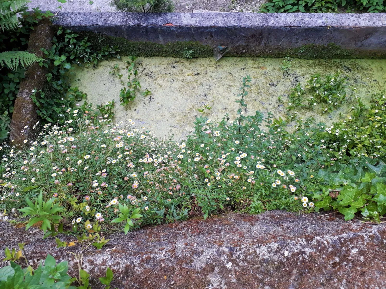 Quinta D'Avó Amélia, wunderschönes Landhaus zwischen den Bergen und dem Meer-Buiten