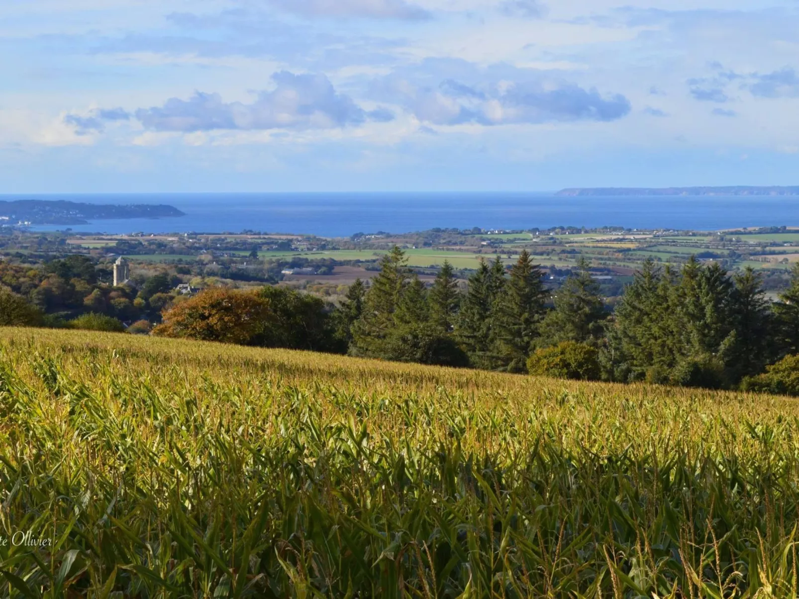 Mit eigenem Garten und Grill-Buiten