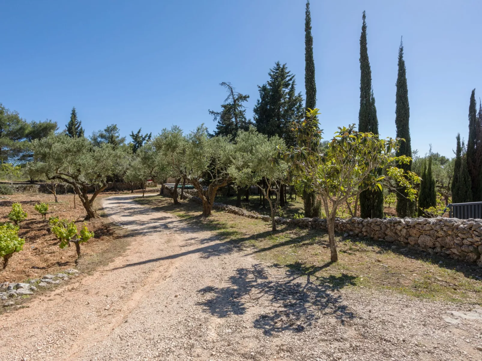 Villa Nefeli mit privatem Pool-Buiten