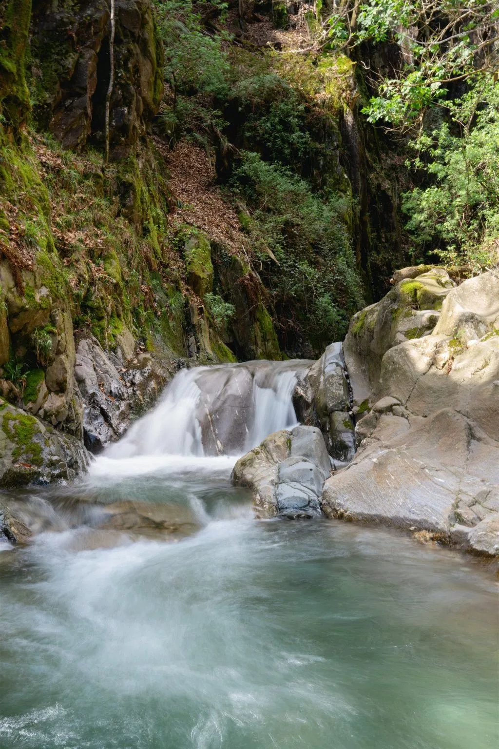 "Palazzo Branca" mit Blick auf den See.-Image-tags.info