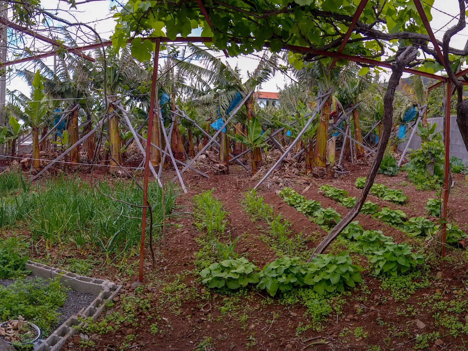 Typische Bauernhof-Wohnung-Buiten