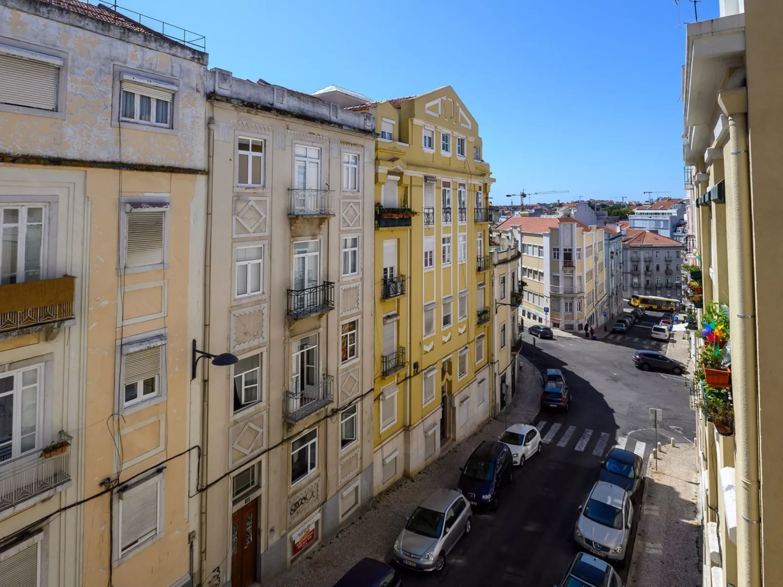 Guinea 19-Image-tags.info