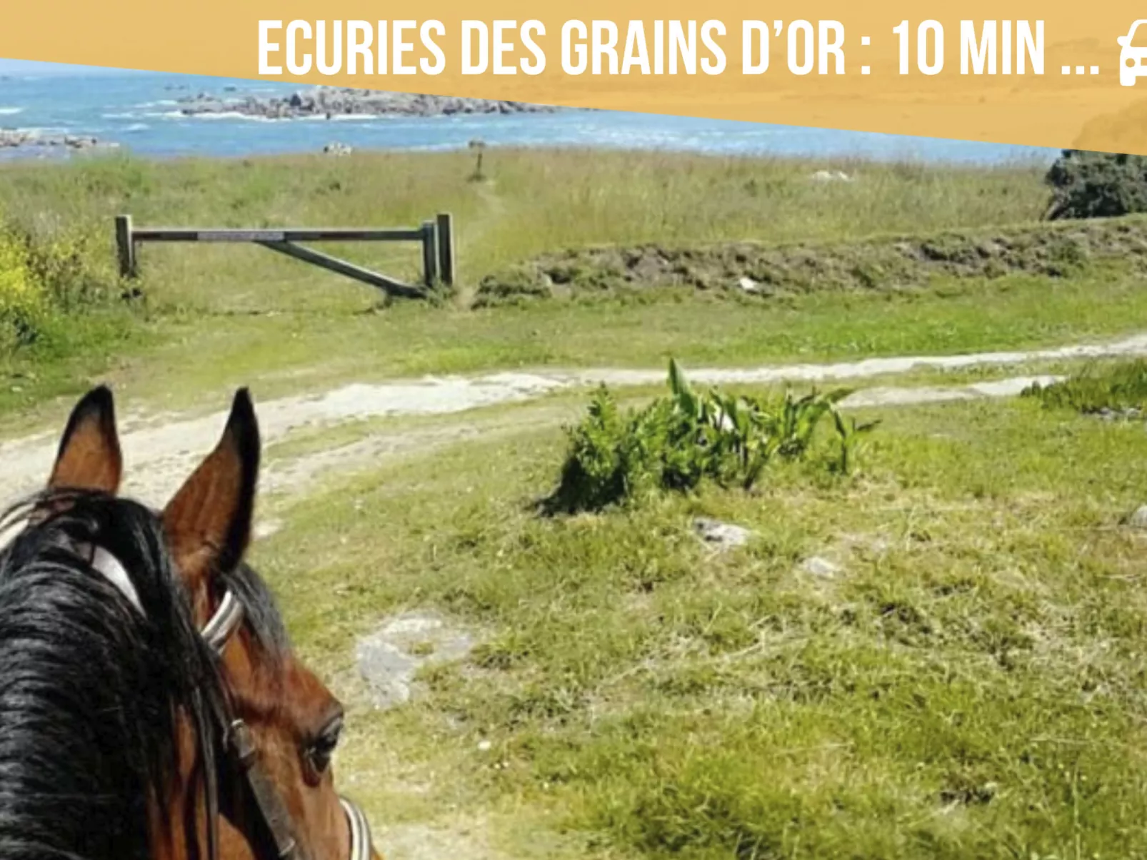 Das Dolmengebäude Clara-Image-tags.info