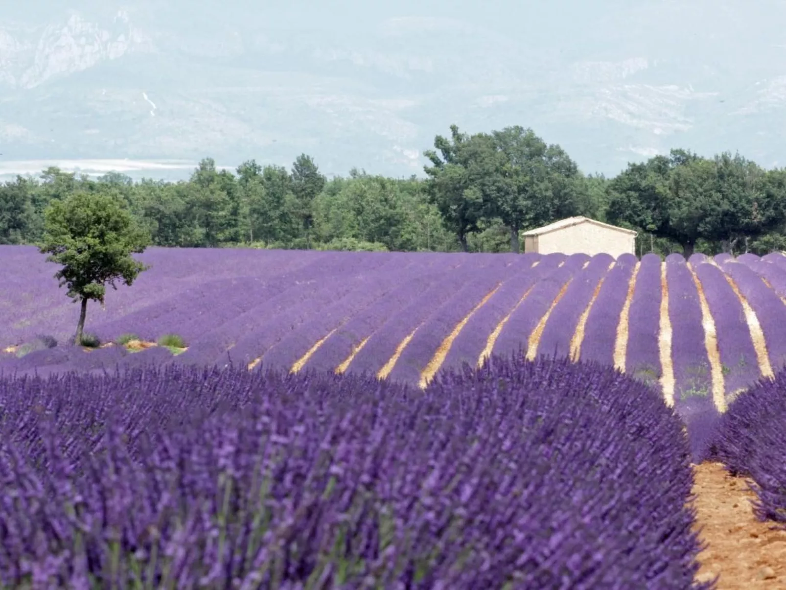 Maison Hascher-Buiten