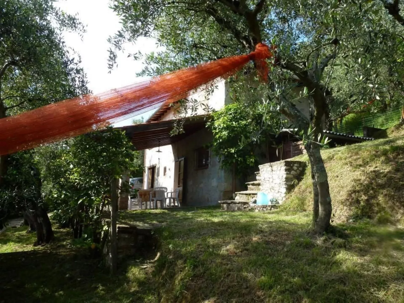 Rustico inmitten eines Olivenhainens